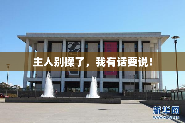主人别揉了，我有话要说！