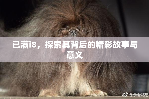 已满i8，探索其背后的精彩故事与意义
