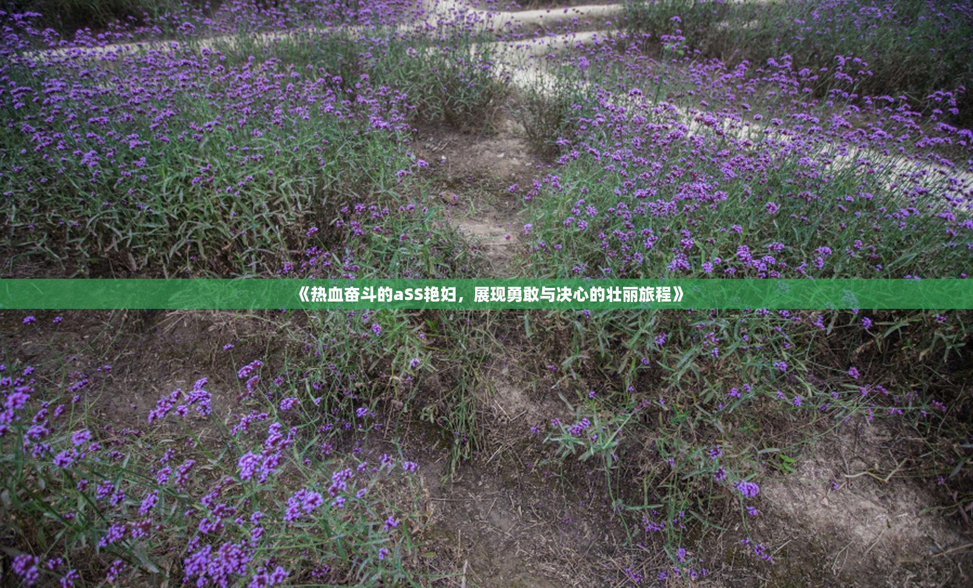 《热血奋斗的aSS艳妇，展现勇敢与决心的壮丽旅程》