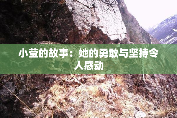 小莹的故事：她的勇敢与坚持令人感动