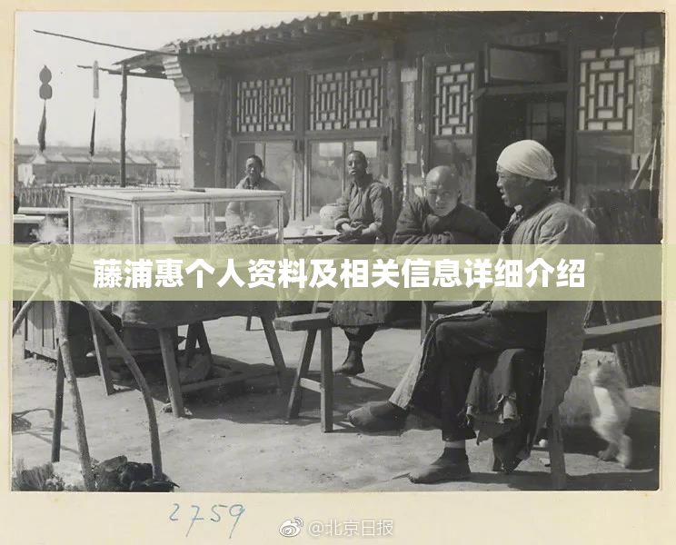 藤浦惠个人资料及相关信息详细介绍