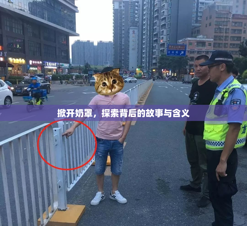 掀开奶罩，探索背后的故事与含义