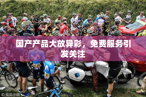 国产产品大放异彩，免费服务引发关注