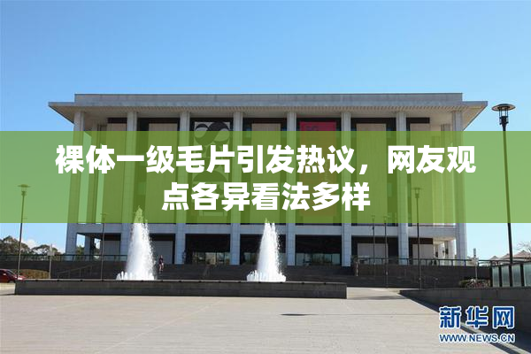 裸体一级毛片引发热议，网友观点各异看法多样