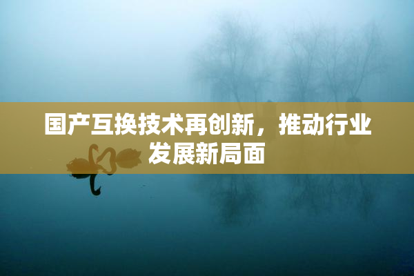 国产互换技术再创新，推动行业发展新局面