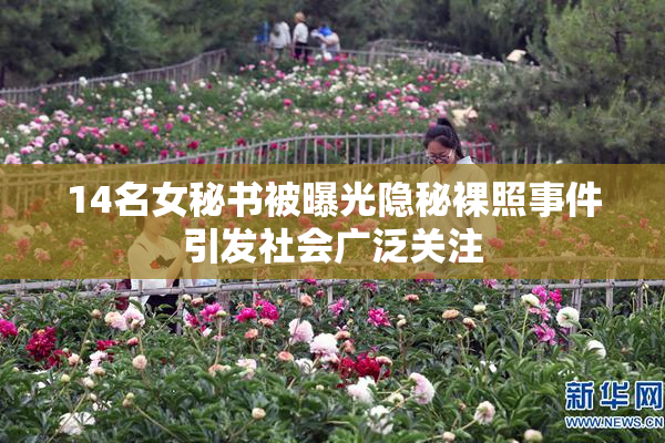 14名女秘书被曝光隐秘裸照事件引发社会广泛关注