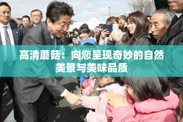 高清蘑菇：向您呈现奇妙的自然美景与美味品质