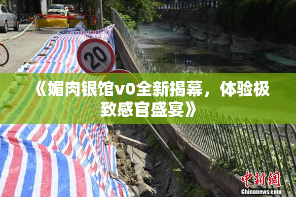 《媚肉银馆v0全新揭幕，体验极致感官盛宴》