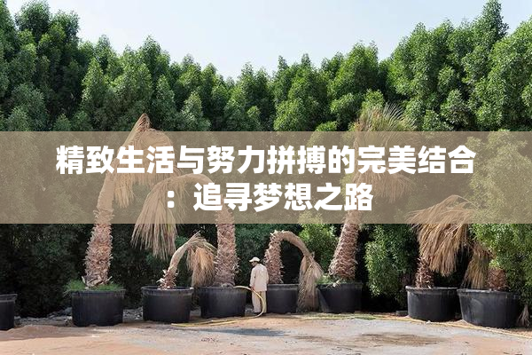 精致生活与努力拼搏的完美结合：追寻梦想之路