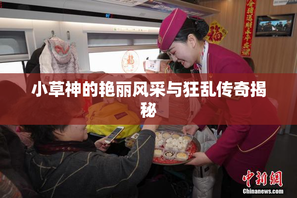 小草神的艳丽风采与狂乱传奇揭秘