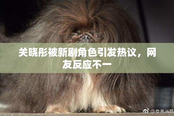关晓彤被新剧角色引发热议，网友反应不一