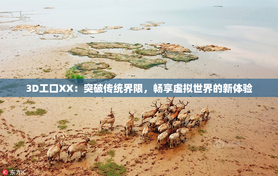3D工口XX：突破传统界限，畅享虚拟世界的新体验