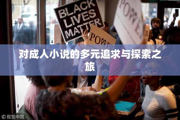 对成人小说的多元追求与探索之旅