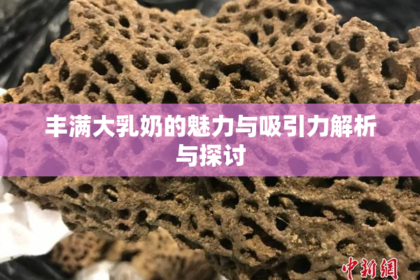丰满大乳奶的魅力与吸引力解析与探讨