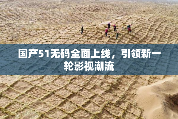 国产51无码全面上线，引领新一轮影视潮流