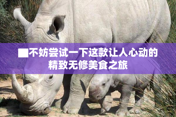 ▇不妨尝试一下这款让人心动的精致无修美食之旅