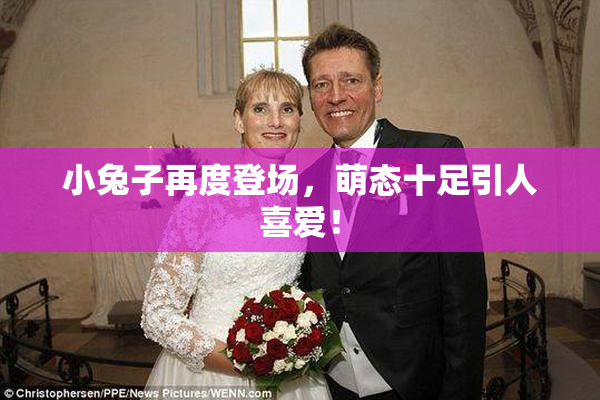 小兔子再度登场，萌态十足引人喜爱！