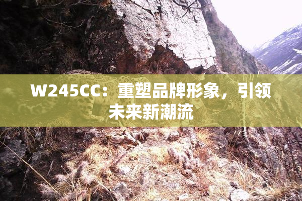 W245CC：重塑品牌形象，引领未来新潮流