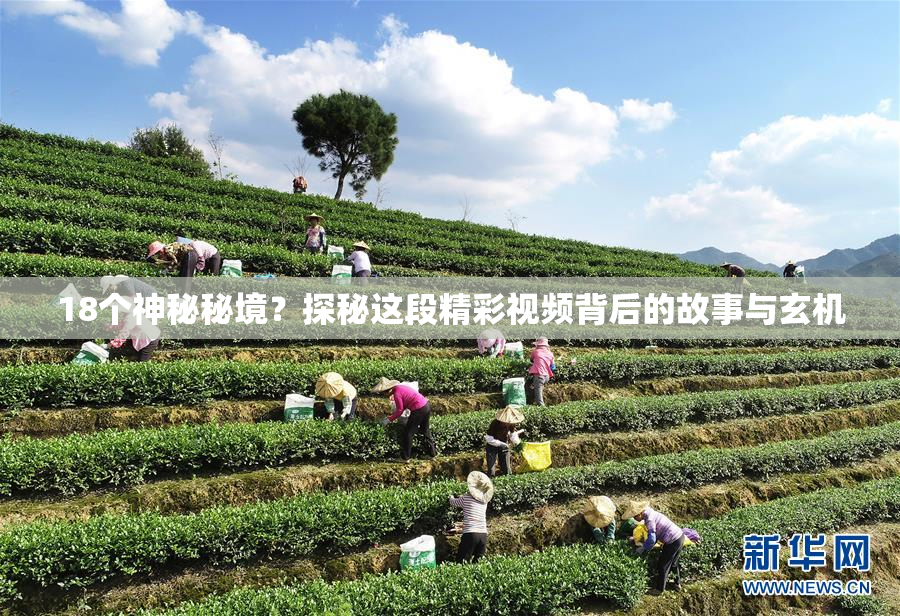 18个神秘秘境？探秘这段精彩视频背后的故事与玄机