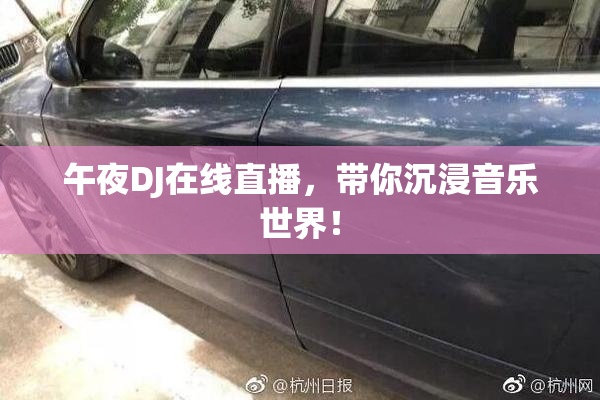 午夜DJ在线直播，带你沉浸音乐世界！