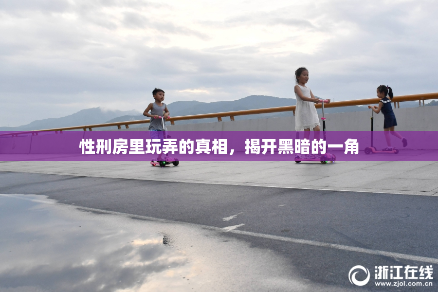 性刑房里玩弄的真相，揭开黑暗的一角
