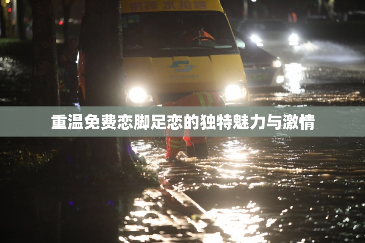 重温免费恋脚足恋的独特魅力与激情