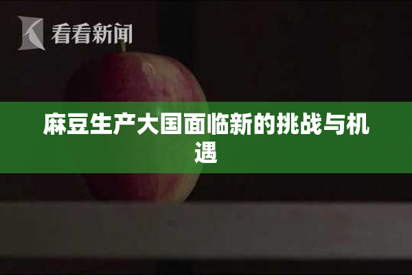 麻豆生产大国面临新的挑战与机遇