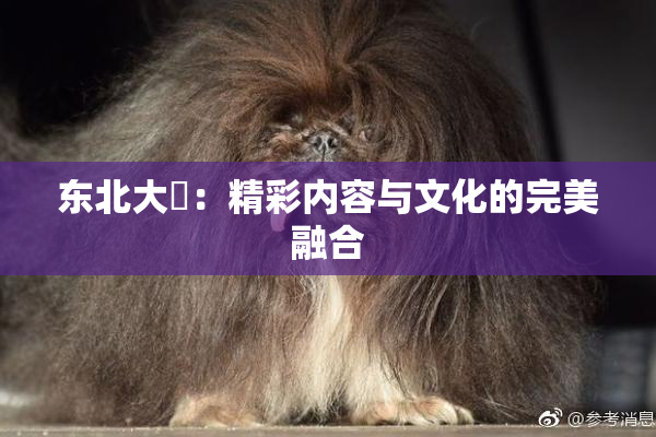 东北大鷄：精彩内容与文化的完美融合