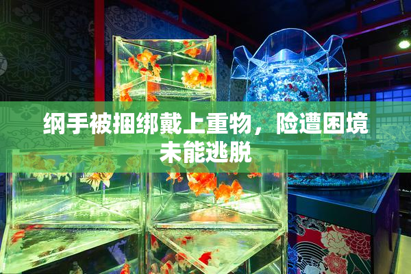 纲手被捆绑戴上重物，险遭困境未能逃脱