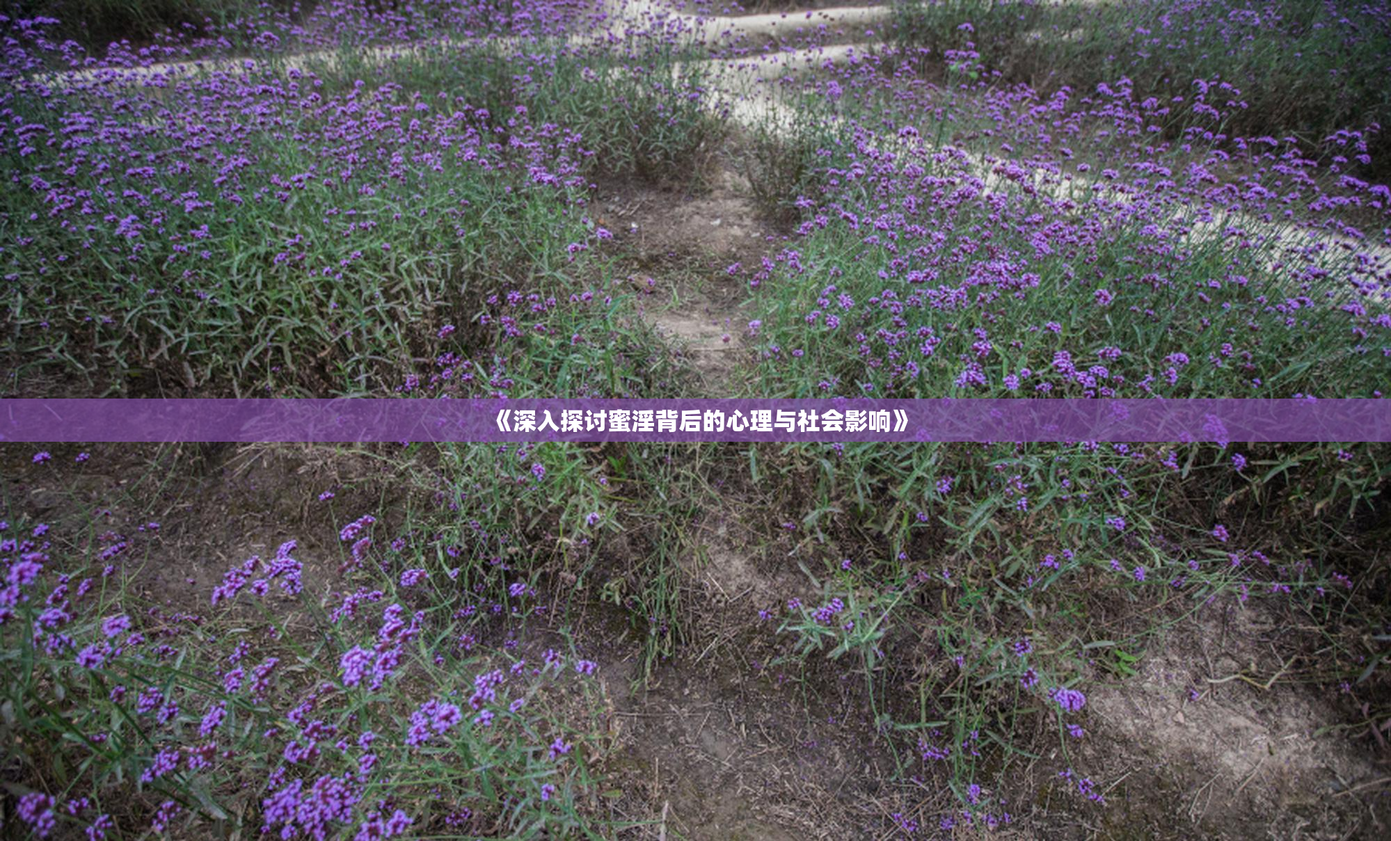 《深入探讨蜜淫背后的心理与社会影响》