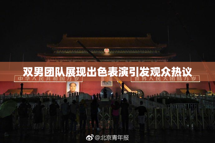 双男团队展现出色表演引发观众热议