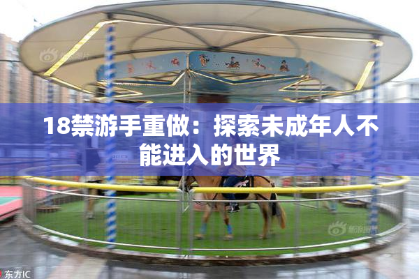 18禁游手重做：探索未成年人不能进入的世界
