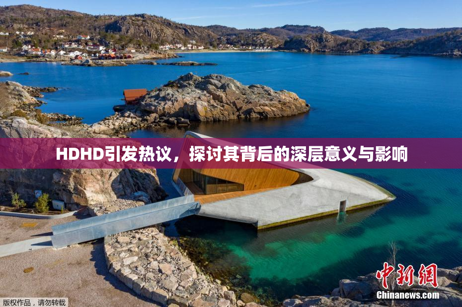 HDHD引发热议，探讨其背后的深层意义与影响