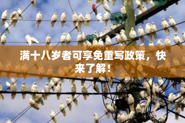 满十八岁者可享免重写政策，快来了解！