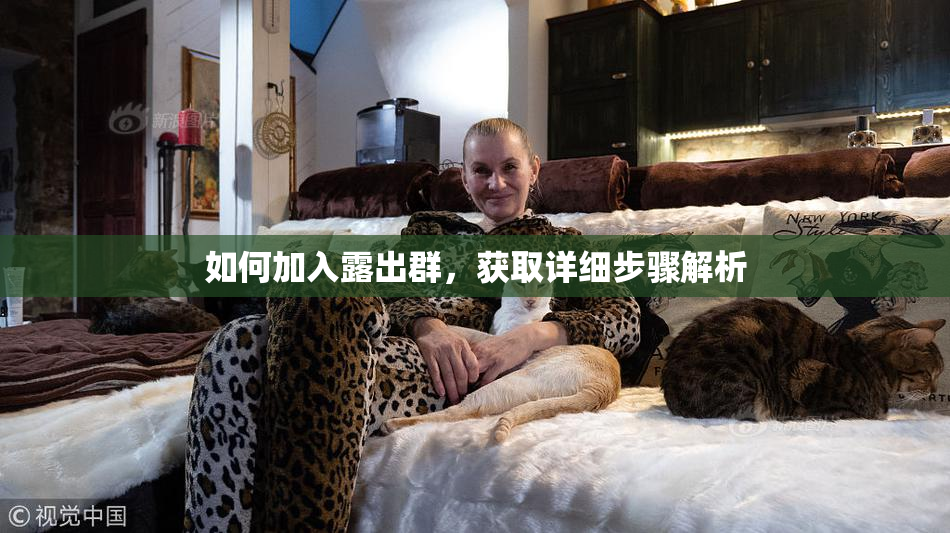 如何加入露出群，获取详细步骤解析