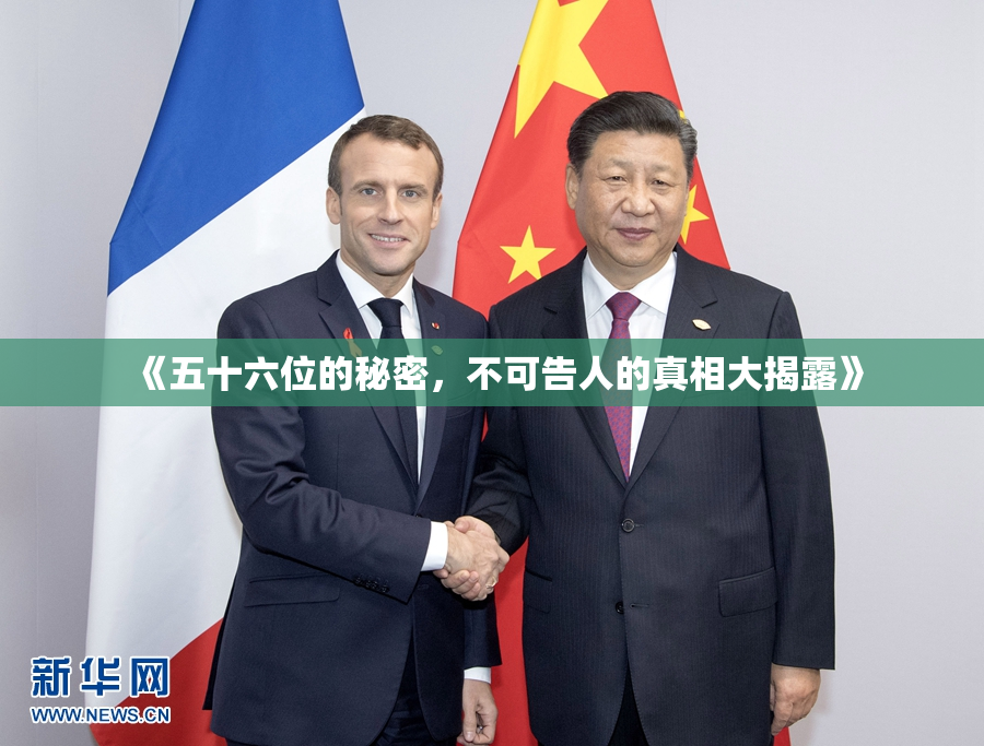《五十六位的秘密，不可告人的真相大揭露》