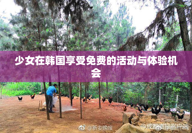 少女在韩国享受免费的活动与体验机会