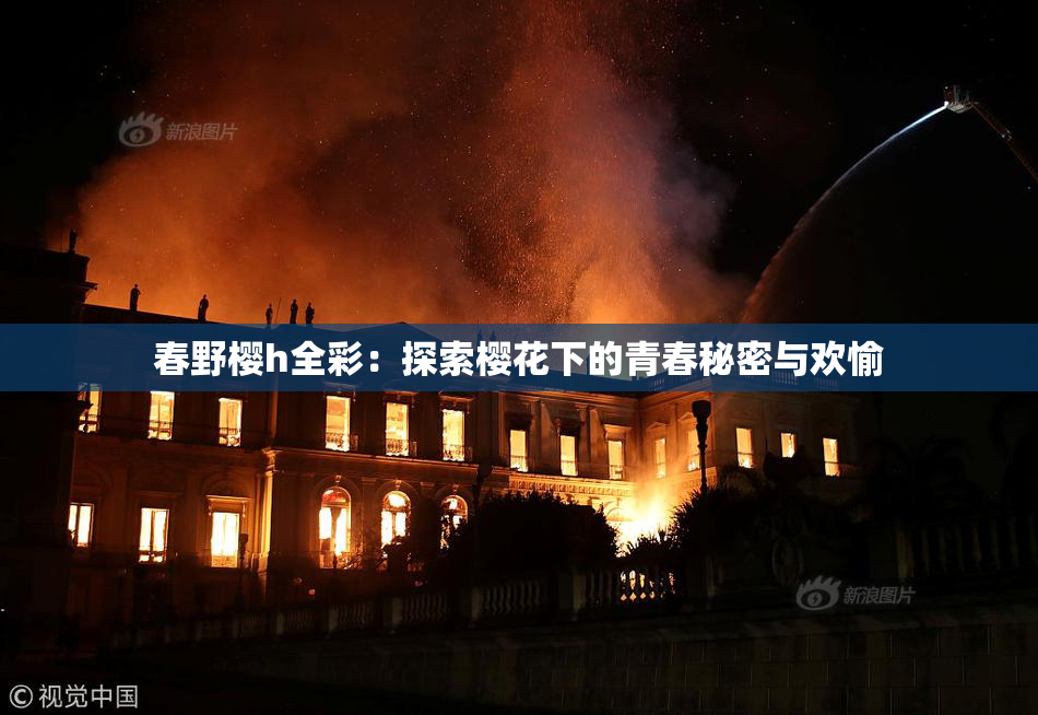 春野樱h全彩：探索樱花下的青春秘密与欢愉