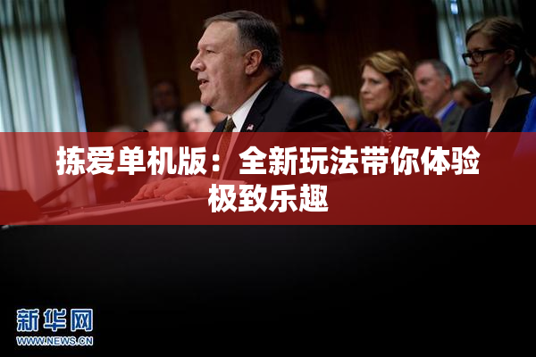 拣爱单机版：全新玩法带你体验极致乐趣