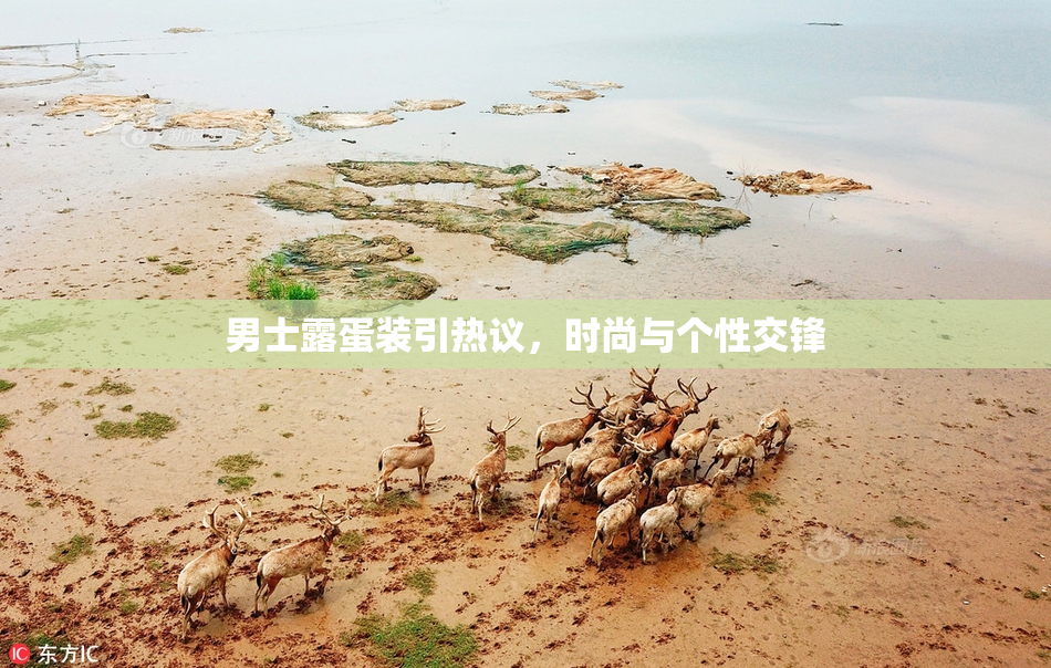 男士露蛋装引热议，时尚与个性交锋