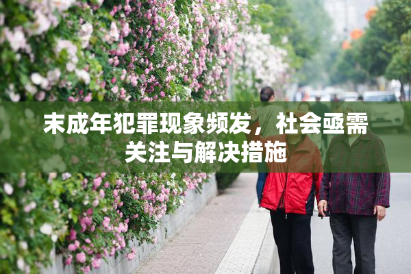 末成年犯罪现象频发，社会亟需关注与解决措施