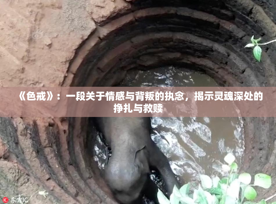 《色戒》：一段关于情感与背叛的执念，揭示灵魂深处的挣扎与救赎