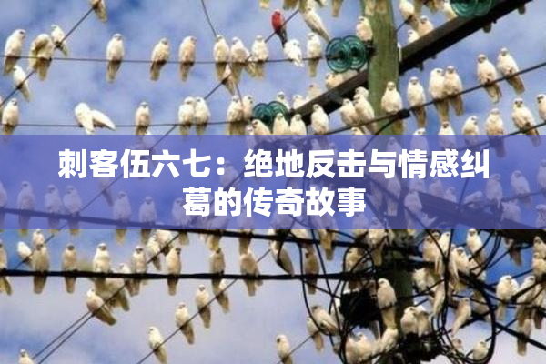 刺客伍六七：绝地反击与情感纠葛的传奇故事