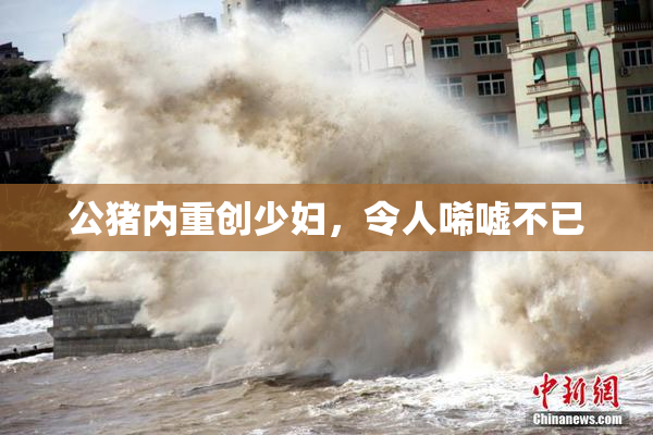 公猪内重创少妇，令人唏嘘不已