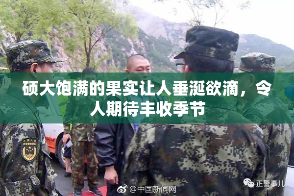硕大饱满的果实让人垂涎欲滴，令人期待丰收季节