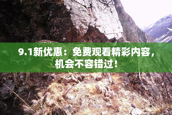 9.1新优惠：免费观看精彩内容，机会不容错过！