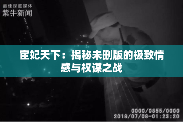 宦妃天下：揭秘未删版的极致情感与权谋之战