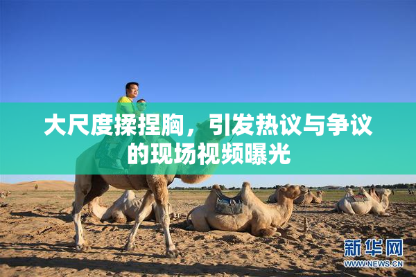 大尺度揉捏胸，引发热议与争议的现场视频曝光
