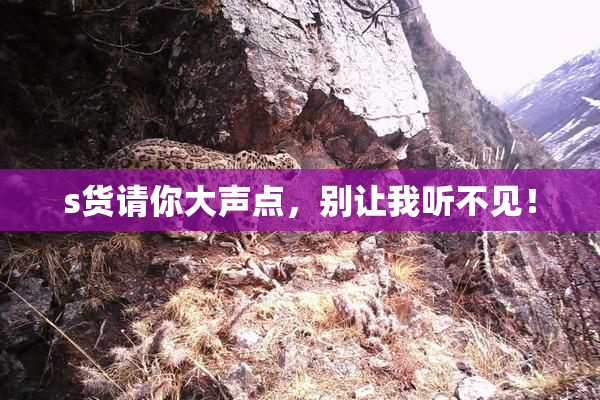 s货请你大声点，别让我听不见！