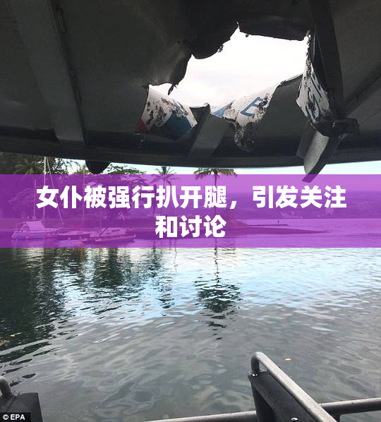 女仆被强行扒开腿，引发关注和讨论
